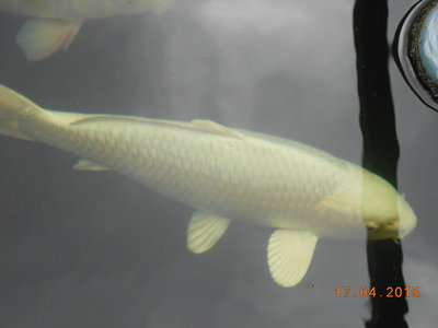 DSCN0564.JPG