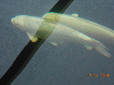 DSCN0570.JPG