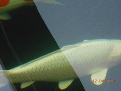 DSCN0569.JPG