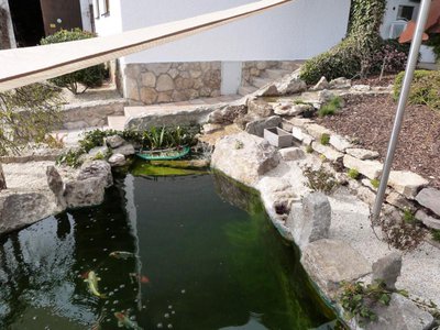 P1100272.JPG