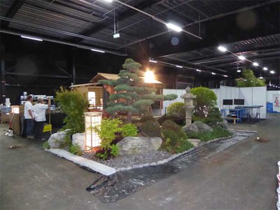 Bonsai00676.jpg