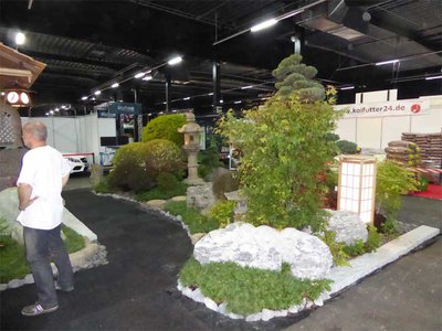 Bonsai00677.jpg