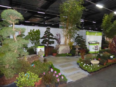 Bonsai00701.jpg