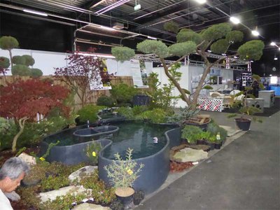 Bonsai00692.jpg