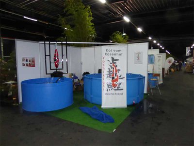 Koi0684.jpg