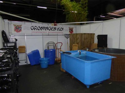 Koi0687.jpg