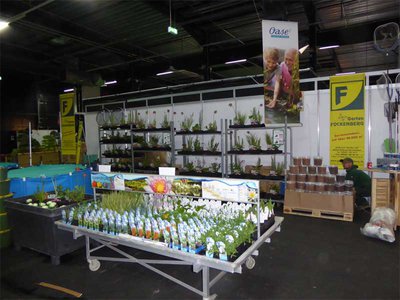 Pflanzen0673.jpg