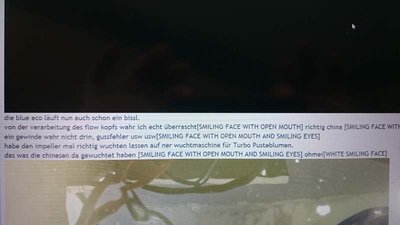 Tomestuss.jpg