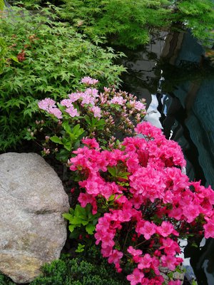 DSC00021.JPG