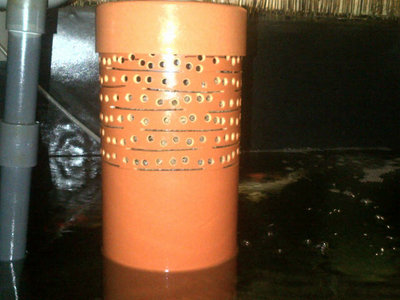 IMG-20140410-00633.jpg