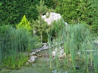 IMG_0016 [1600x1200].JPG