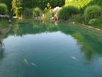 IMG_0165 [1600x1200].JPG