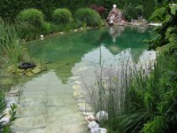 IMG_0613 [1600x1200].JPG