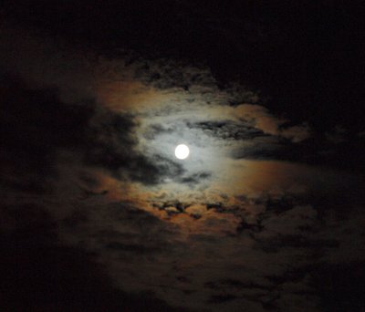 P1014640.JPG