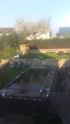 Teich ansicht.jpg