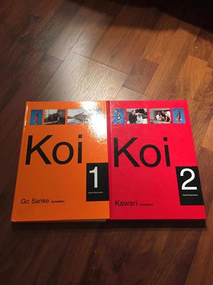 koi1+2.jpg
