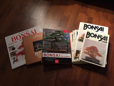 Bonsai.jpg