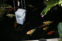 IMG_4066.jpg