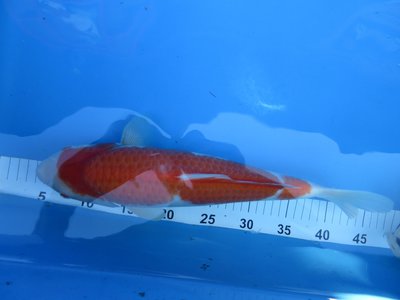 tn_IMG_2973.JPG