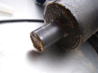 DSCI1282.jpg