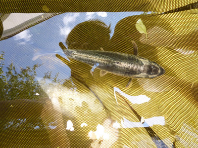 P1080875.JPG