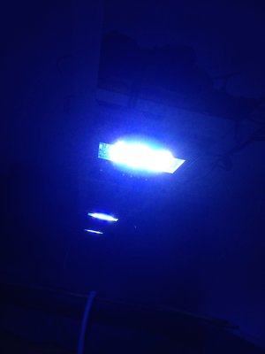 IMG_1004.jpg