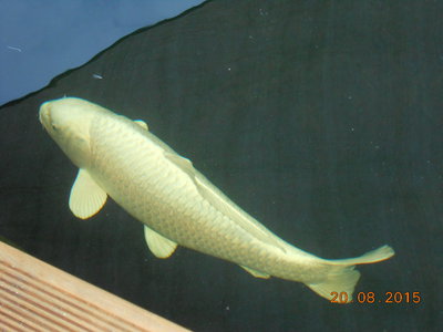 DSCN0868.JPG