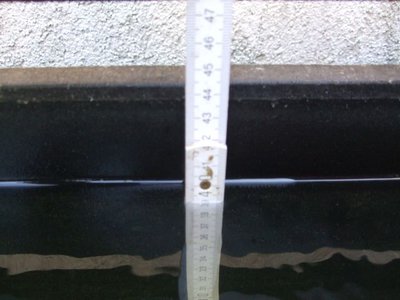 wassersaule01.jpg