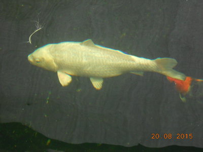 DSCN0867.JPG