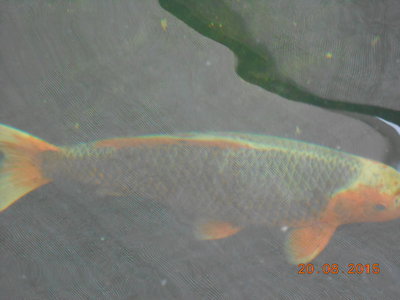 DSCN0875.JPG