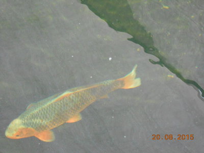 DSCN0877.JPG