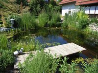tn_Gartenteich Juni 2009 (5).jpg