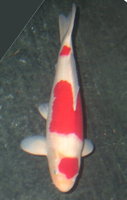Bild 053.jpg