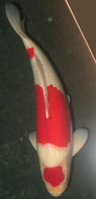 Bild 054.jpg