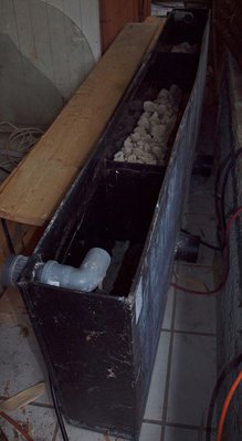 P1015800.JPG