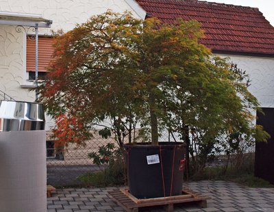 P1015847.JPG
