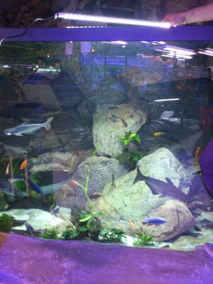 DSC_1116.jpg