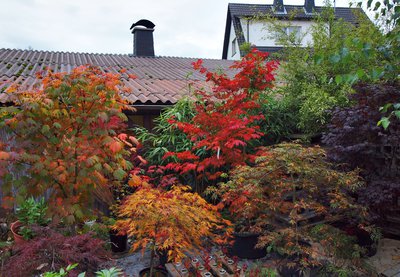 P1015880.JPG