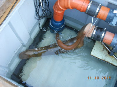 DSCN0920.JPG