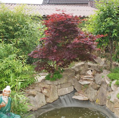 P1014565.JPG