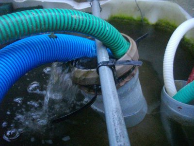 Hose6907.jpg