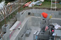 IMG_2893_1_1.JPG