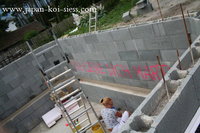 IMG_3056_1_1.JPG