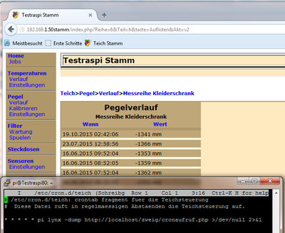 Testraspi1.png