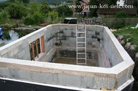 IMG_3105_1_1.JPG