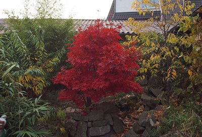 P1016150.JPG