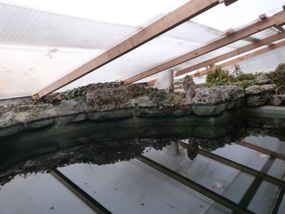P1110051.JPG