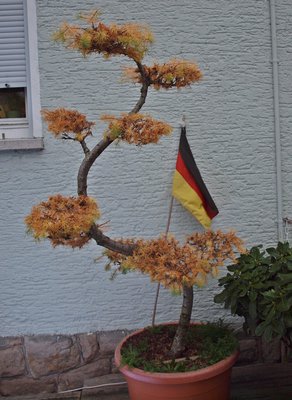 P1016229.JPG