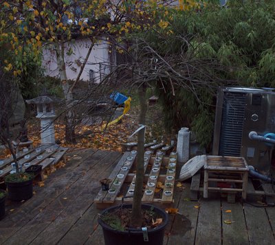 P1016231.JPG