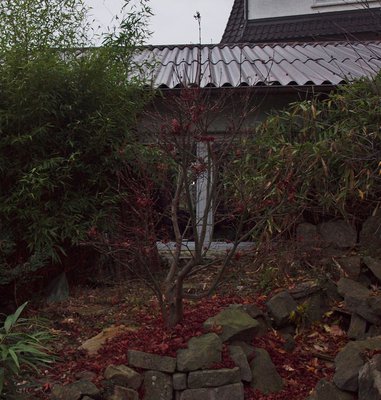 P1016233.JPG